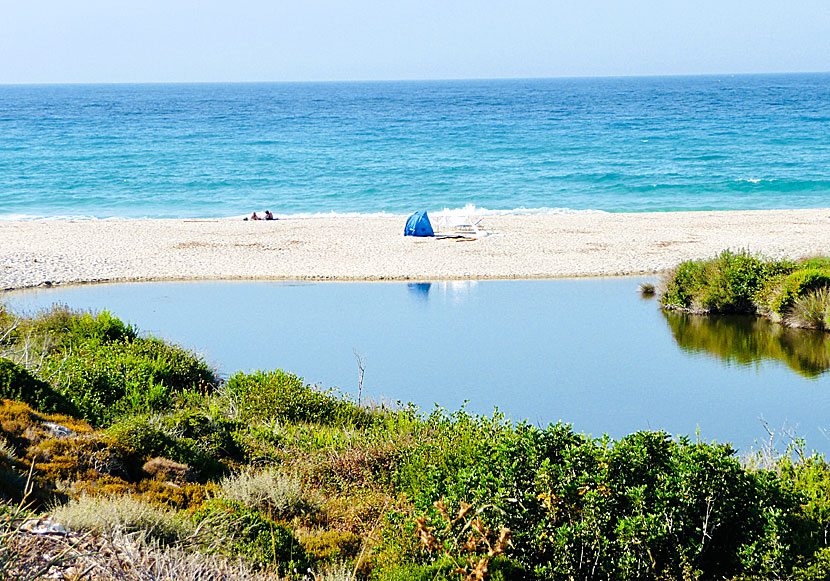 Floden Myrsonas mynnar ut på Messakti beach på Ikaria.