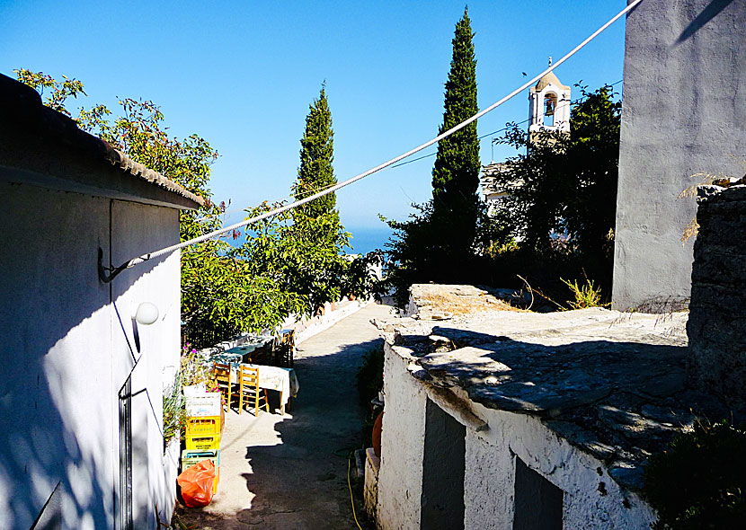Kafé på klostergården som tillhör Theoktistis monastery på ön Ikaria. 
