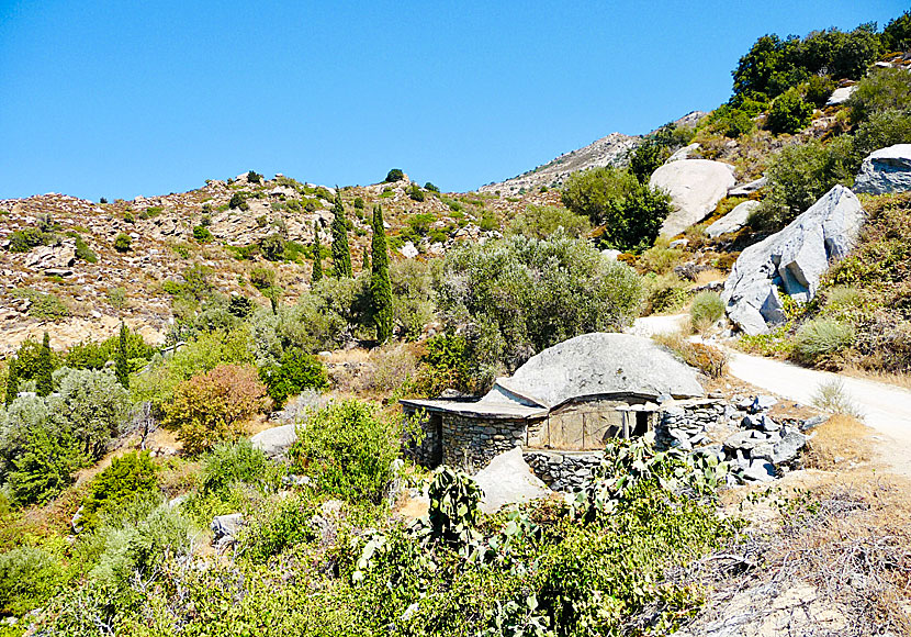 Ikaria är en av de bästa vandringsöarna i Grekland tillsammans med Amorgos, Folegandros, Kreta, Sifnos och Tilos.