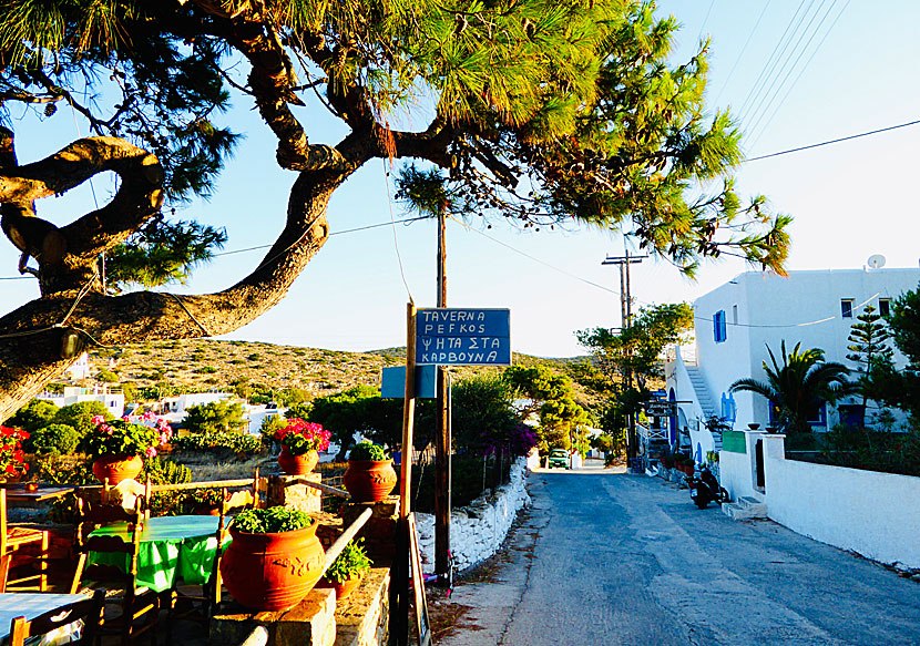 Taverna Pefkos och Maistrali i Agios Georgios hamn på Iraklia.