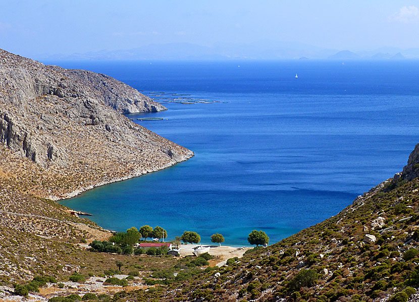 Kalymnos bästa stränder. Akti beach.  