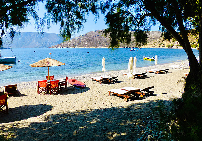 Om du inte vill hyra solstolar och parasoll på Kalymnos finns det gott om skugga från tamariskträd.