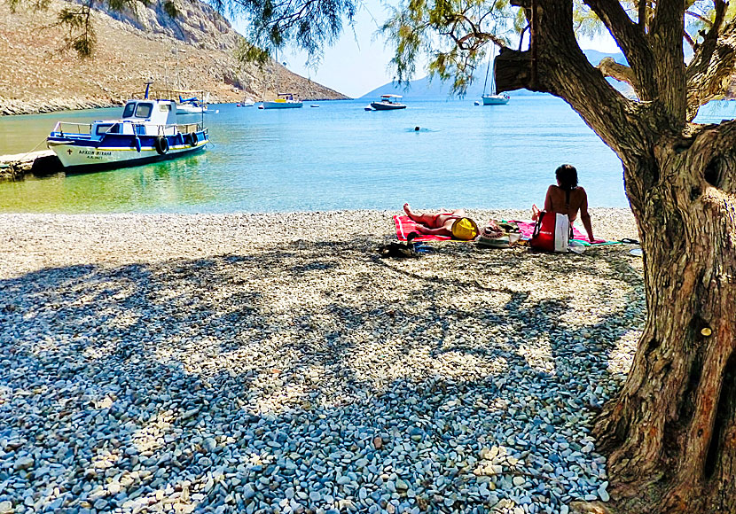 Det finns gott om skugga under tamariskerna vid Palionisos beach på Kalymnos. 
