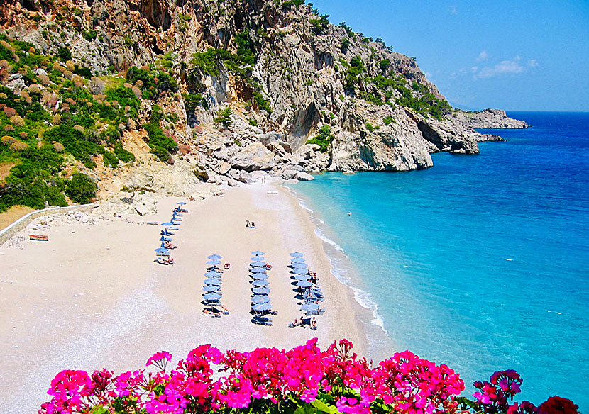 Pelargoner och andra blommor på Karpathos i Grekland.