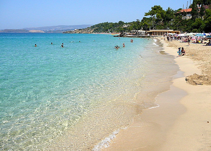 Platis Gialos beach i Lassi på Kefalonia