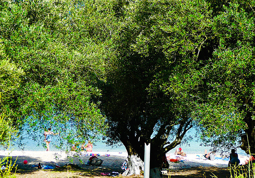 Foki beach. Fiskardo. Kefalonia.