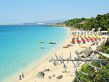 Lassi beach på Kefalonia.