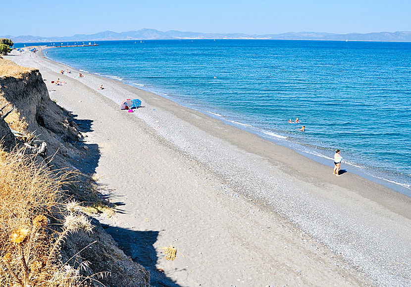Missa inte Agios Fokas beach när du kör till de heta källorna i Therma på Kos i Grekland.
