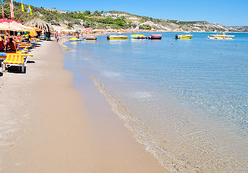 Paradise beach är en paradisstrand på ön Kos i Dodekaneserna.