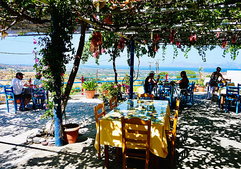 Taverna Old Pyli. Kos.