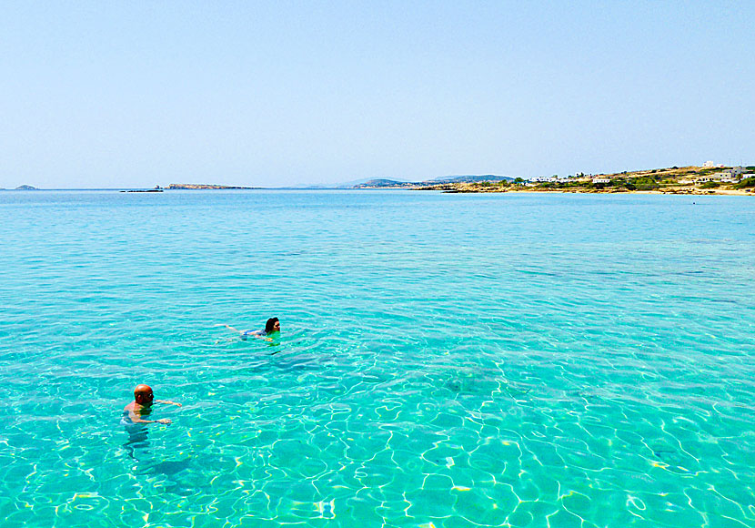 Snorkla på Koufonissi i Kykladerna. 