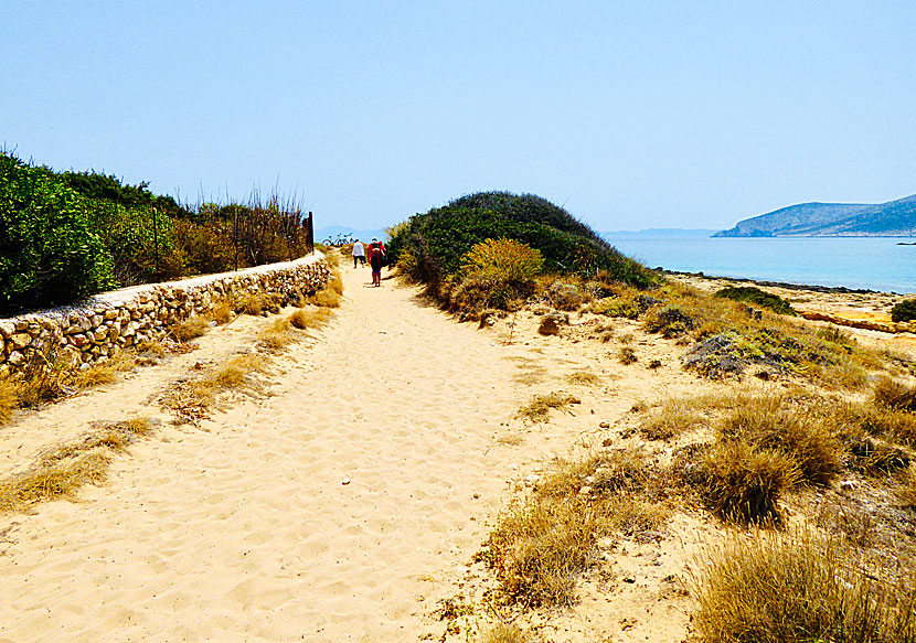 Stigen som går mellan Finikas beach och Fanos beach på Koufonissi.