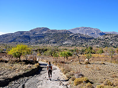 Katharoplatån på Kreta.