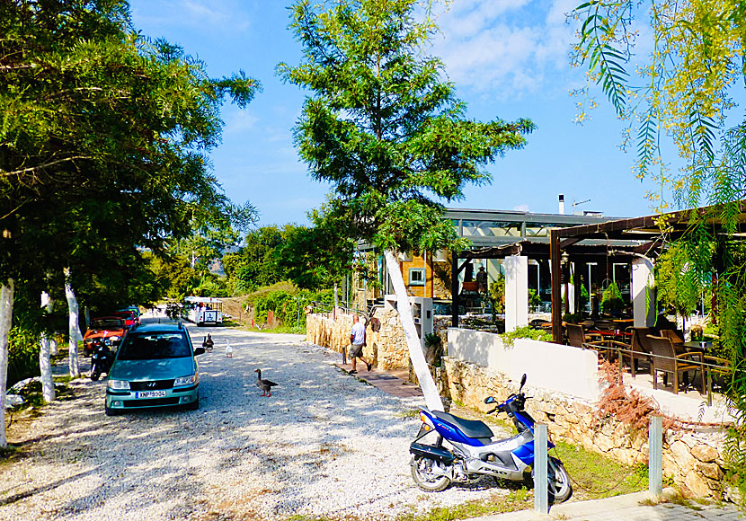 Enasma Café och taverna vid Agia Lake söder om Chania på Kreta.