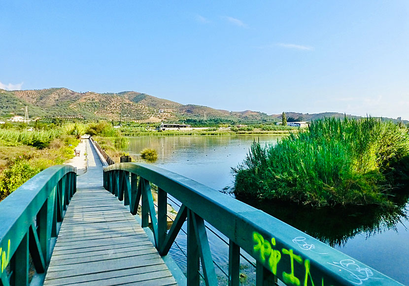 Café Agia Lake  och taverna söder om Chania på Kreta.