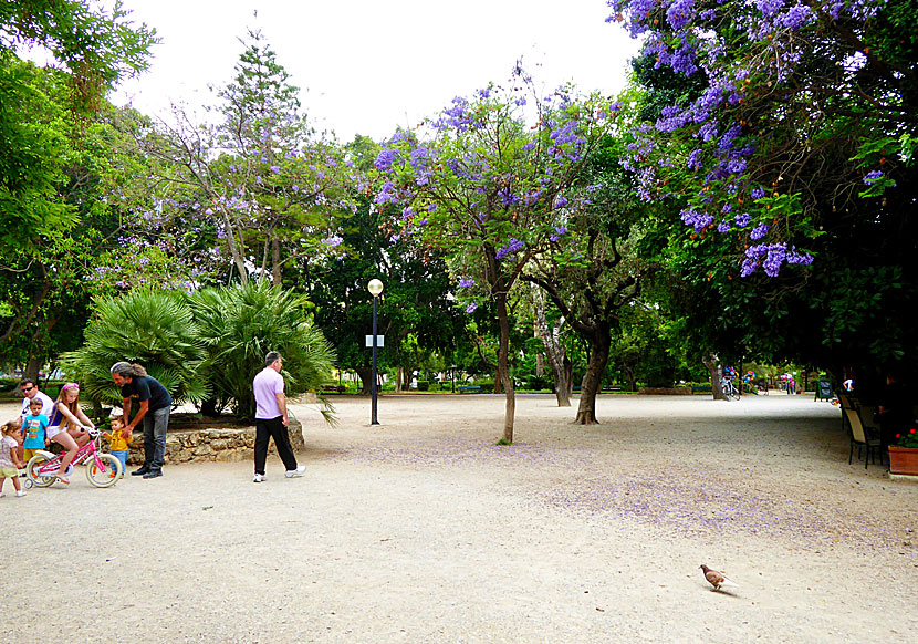 Stadsparken  i Chania är en populär lekplats för barn.