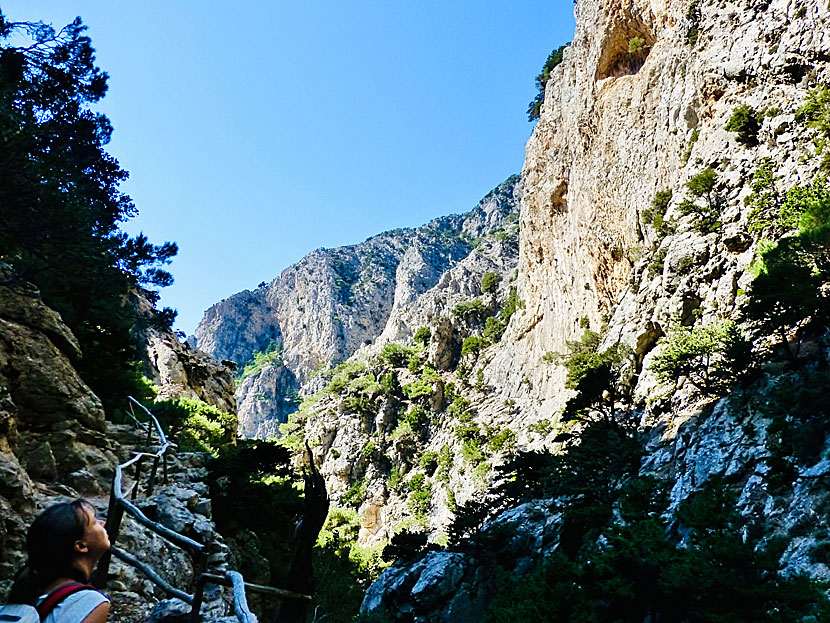 Vandra i Rouvas Gorge. Kreta.