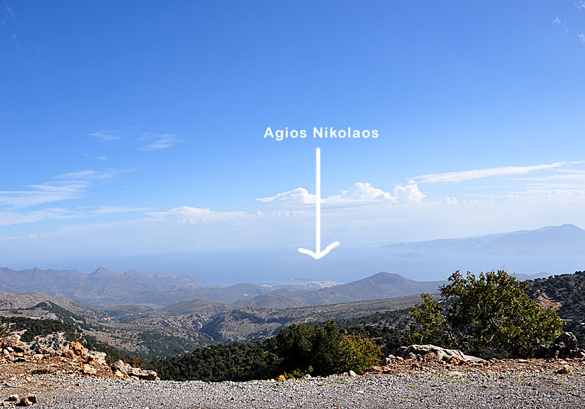 Vägen till Katharoplatån bjuder på många vackra vyer. Man ser ända till Agios Nikolaos. 