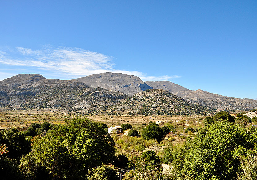 Katharoplatån ovanför Kritsa på Kreta.