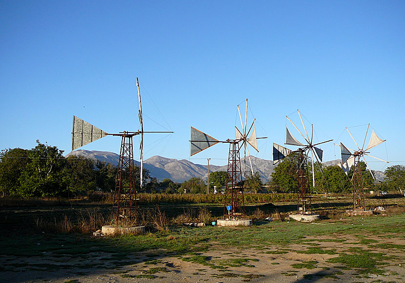 Några av de tusentals väderkvarnar som finns på Lasithiplatån.  Kreta.