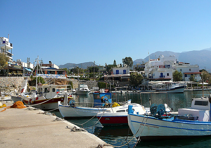 Den gulliga hamnen i Sissi på östra Kreta.
