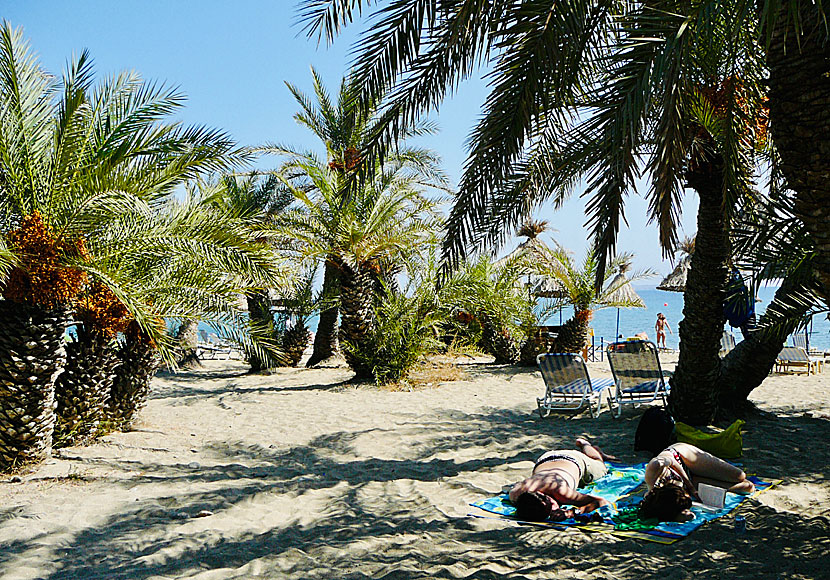 På palmstranden Vai på Kreta finns parkering, tavernor och solstolar. 