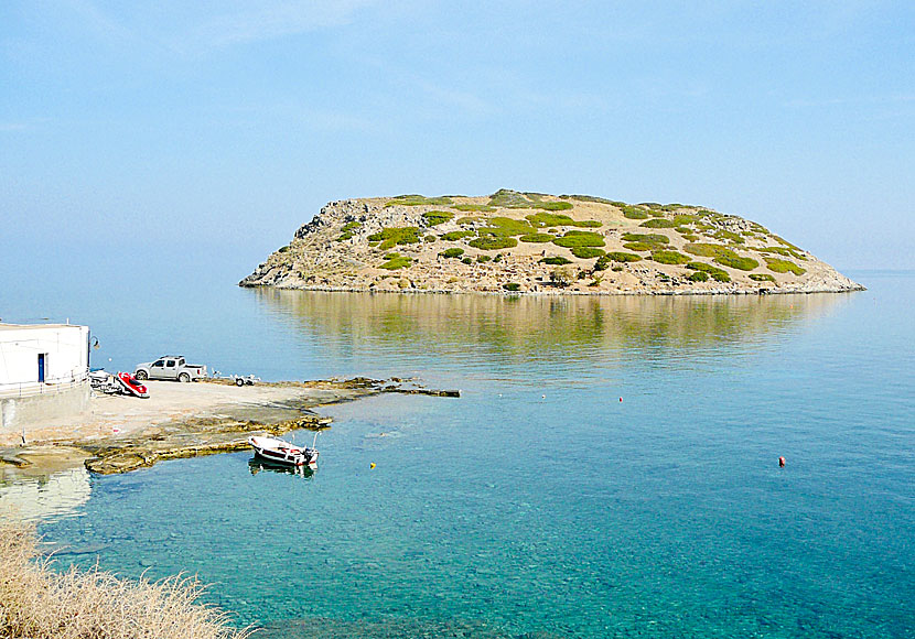 Det går att simma till den lilla ön som också heter Mochlos.