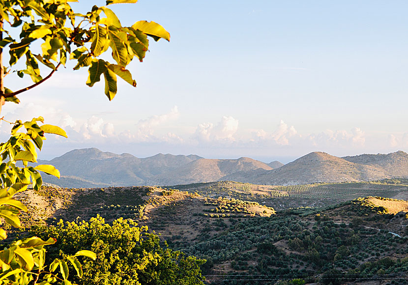 Genuina Anogia är ingen vacker by, men landskapet är bland det vackraste som finns på hela Kreta. 