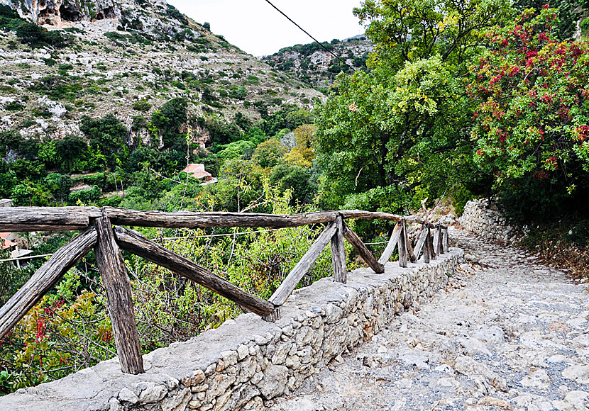 Vandra i Mili Gorge söder om Rethymnon.