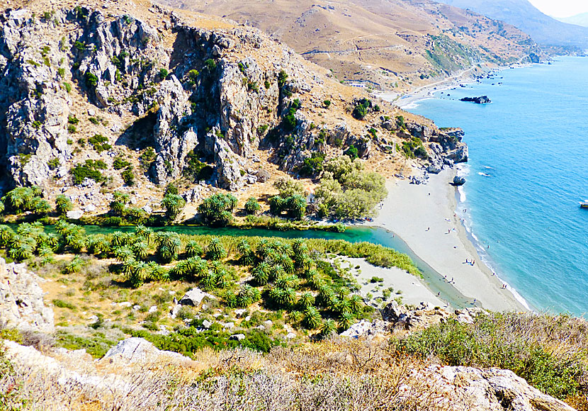 Missa inte en heller en utflykt till palmstranden Preveli söder om Rethymnon.