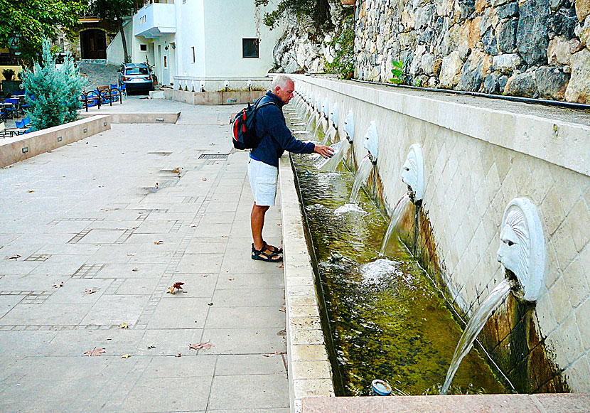 Den spektakulära lejonfontänen i Spili på Kreta.