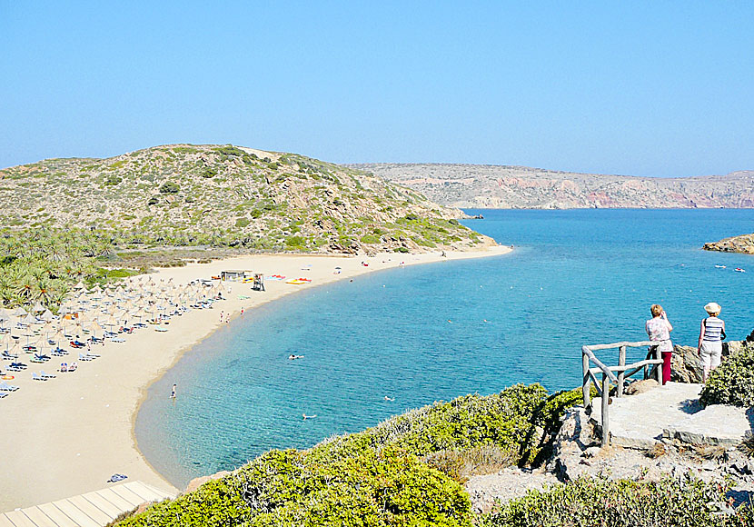 Palmstranden Vai på östra Kreta.