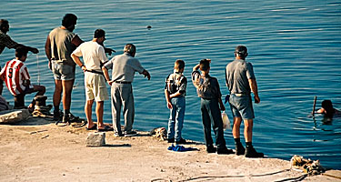 Den tuffa bläckfiskfiskaren på Leros.