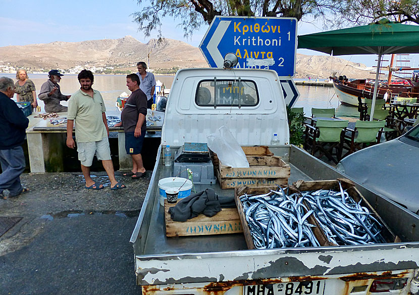 Fiskmarknaden i Agia Marina på Leros.