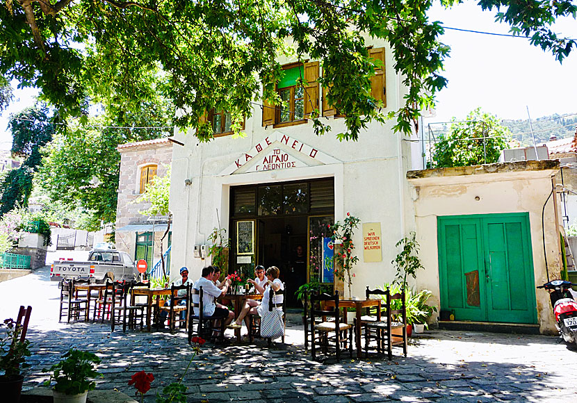 Kafé i Antissa. Lesbos.