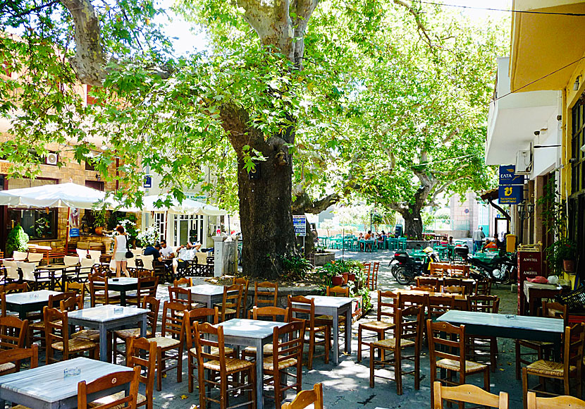 Tavernor i Antissa. Lesbos.