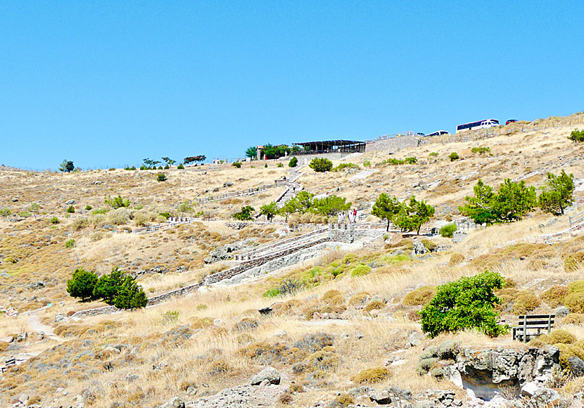 Förstenade skogen. Lesbos.