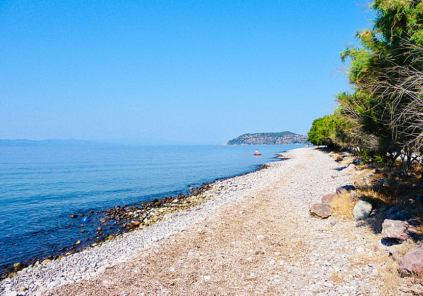 Kagia beach nära Skala Sikaminias på Lesbos.