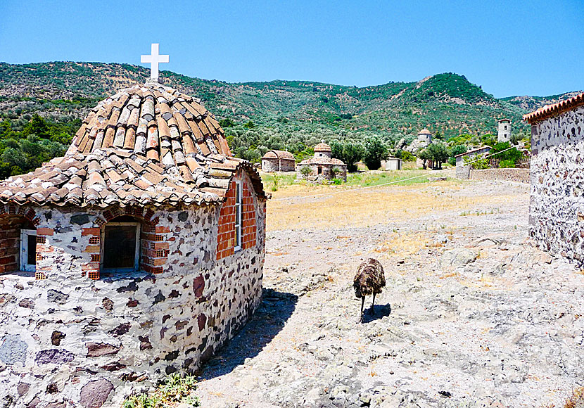 Limonos Monastery. Lesbos.