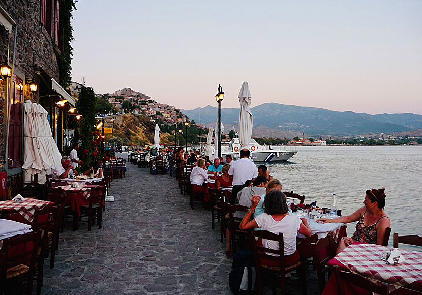 En av många bra restauranger i Molyvos på Lesbos.