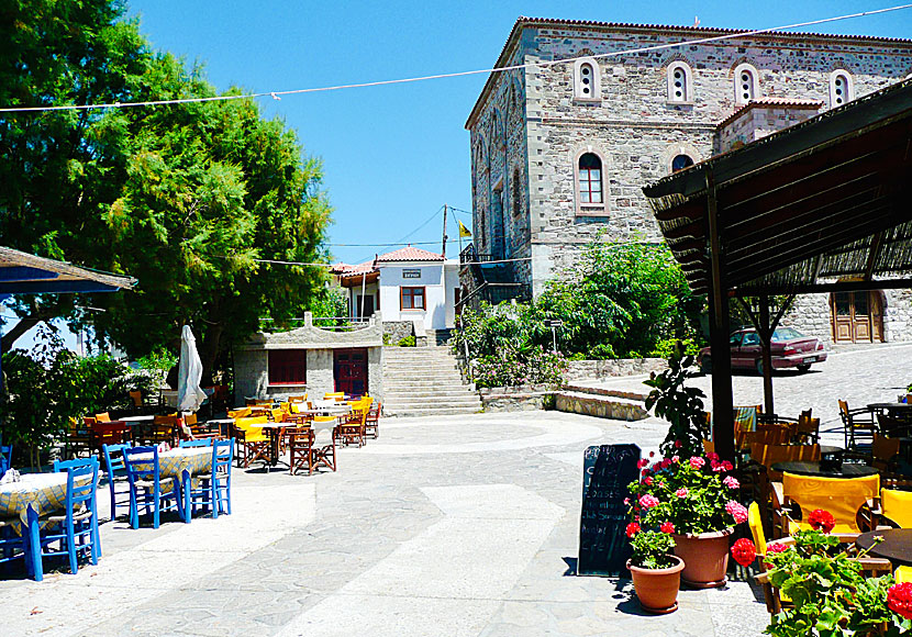 Restauranger, tavernor, kaféer och barer i byn Sigri på Lesbos.