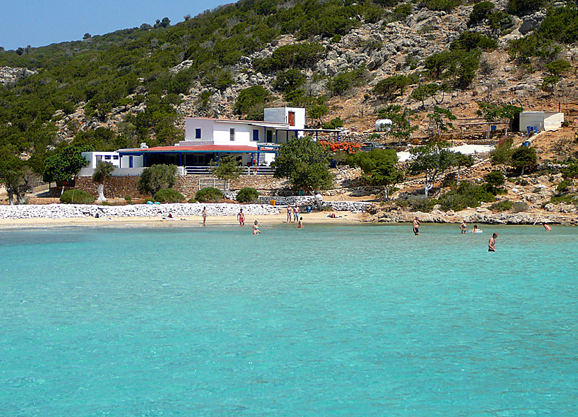 Platys Gialos beach och taverna på Lipsi.