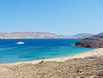 Agios Sostis och Panormos beach på Mykonos.  
