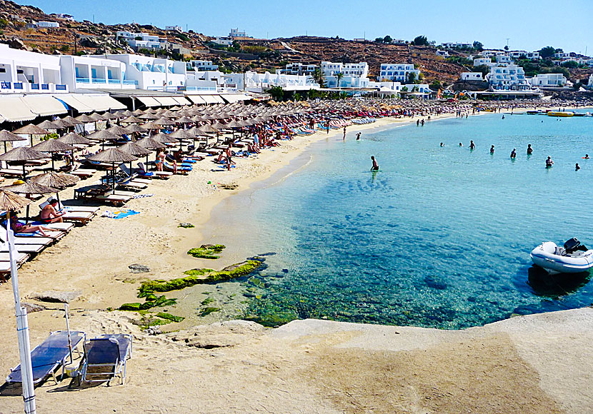 Mykonos bästa stränder. Platis Gialos beach.