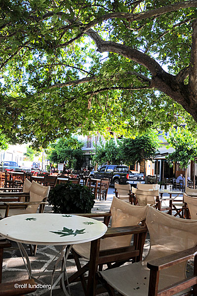 Platanus orientalis. Naxos