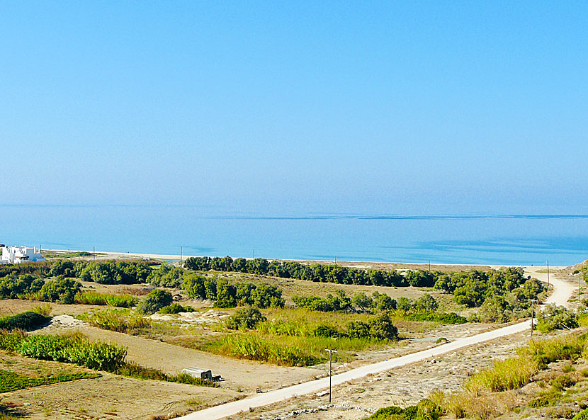 Naxos bästa stränder. Ammitis beach.