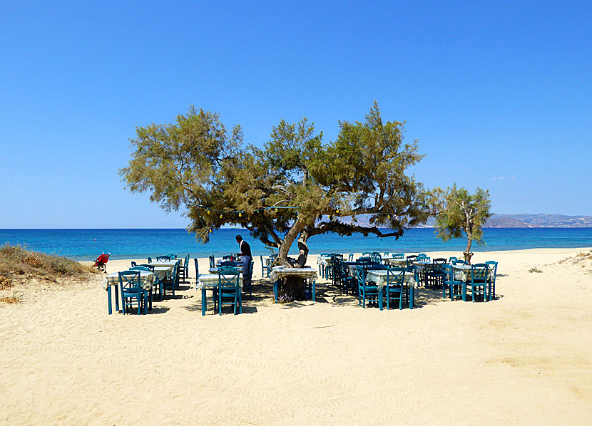 Taverna Paradiso vid Maragas beach på Naxos.
