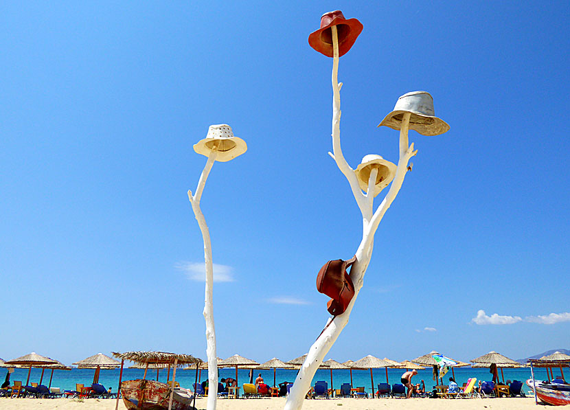 Hatträdet vid Plaka beach på Naxos.