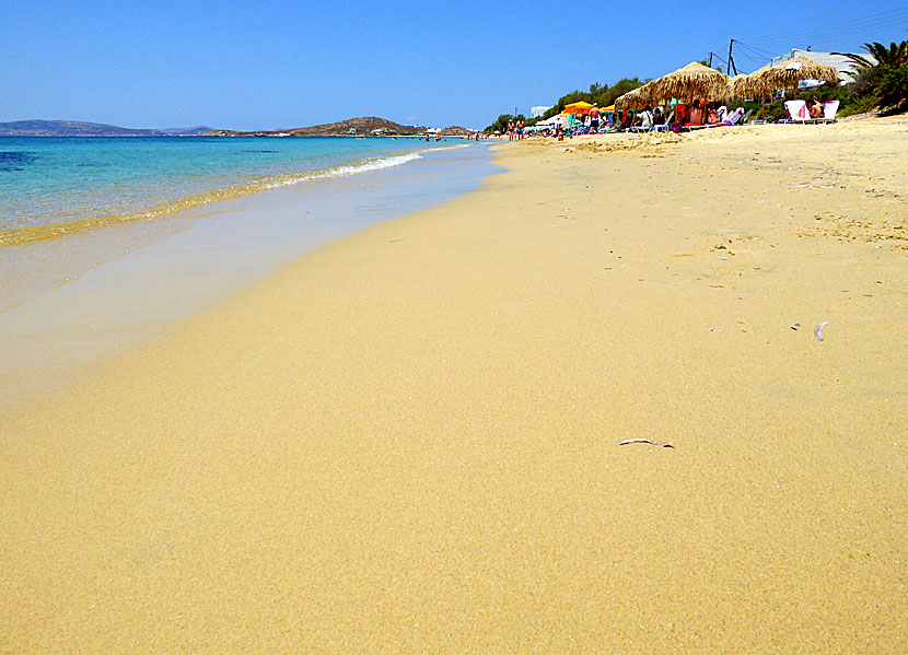 Naxos bästa stränder. Plaka beach.
