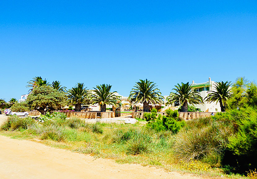 Finikas Hotel mellan stränderna Aliko och Pyrgaki på Naxos i Kykladerna.